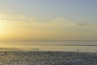 Evening mood on the Wadden Sea at low tide, North Sea, Norddeich, Lower Saxony, Germany, Europe