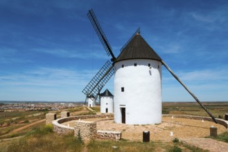 White windmills with black roofs in a wide landscape with paths under a blue sky, Alcazar de San