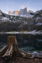 The Hintere Gosausee lake in autumn with a view of the Dachstein mountain range. A tree stump in