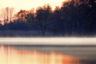 Warm colours at sunrise over a foggy, quiet landscape with trees, foggy atmosphere over the water