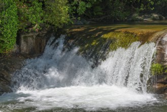 Small waterfall with green moss on the stones surrounded by lush trees on a sunny day, Garganta