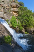 A small waterfall flowing over rocks, surrounded by green plants in a sunny forest landscape,