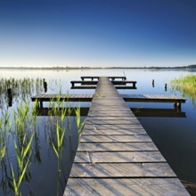 Morning atmosphere at the Schaalsee, symmetrical footbridge in the reeds in the first light,