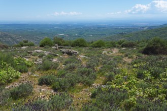 A sweeping view over a mountainous landscape with green vegetation and clear skies, crested