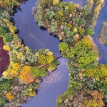 Mixed forest in autumn, colouring, aerial view, forest, autumnal, Ahlhorn fish ponds,