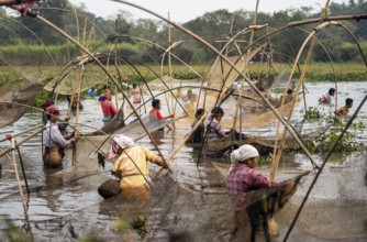 Villagers participate in a community fishing event on the occasion of the Bhogali Bihu festival at