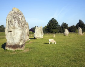 Standing stones of the henge at Avebury, Wiltshire, England, United Kingdom, Europe