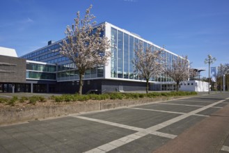 Music theatre in the Ruhr area by architect Werner Ruhnau and blossoming cherry trees (Prunus) in