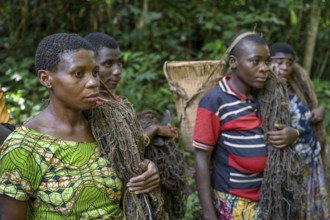 Pygmy woman of the Baka or BaAka people with their hunting nets, Dzanga-Sangha Special Dense Forest