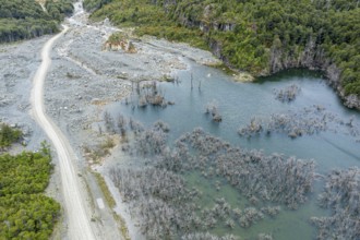 Flooded forest with dead trees, river Rio Norte damned by landslide, new road passing new created