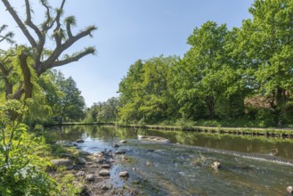 Odense, Park Munke Mose, Odense River, peace, relaxation, spring, Fyn, Fyn Island, Denmark, Europe