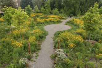 Detroit, Michigan, Residents formed a nonprofit organization called 'Arboretum Detroit' to preserve