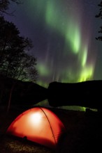 Northern Lights (Aurora borealis) reflected in a lake, Rago National Park, Nordland, Norway,