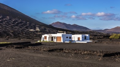 2016, La Geria, Lanzarote, La Geria, ESP, Spain, Canary Islands, Canary Islands, Atlantic Ocean,