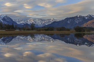 Mountains reflected in water, flood, flooding, cloudy mood, morning light, Murnauer moss, Alpine