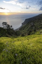 Evening mood, green coastal landscape on a steep cliff, sea and coast, viewpoint Miradouro da