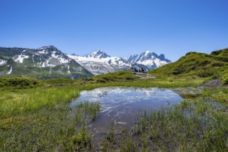 Small mountain lake, mountain panorama with glaciated peaks, Aiguille Verte and Glacier du Tour,