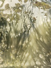 Marshland at low tide. Nature Reserve La Breña y Marismas del Barbate. Aerial view. Drone shot.