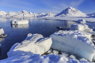 Icebergs in icy fjord off Bergen, winter, snow, sunny, Kulusuk, East Greenland, Greenland, North