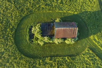 Aerial view of a hut and a mown meadow in the morning light, spring, Alpine foothills, Upper