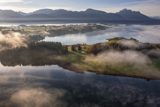 Aerial view of a lake in front of mountains in the morning light, fog, autumn, Forggensee, view of