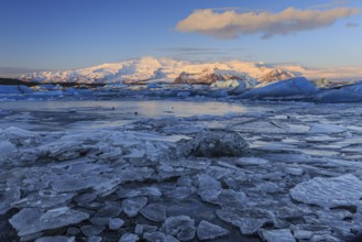 Ice floes in sea in front of glacier and mountains, morning light, Jökulsarlon, Vatnajökull,