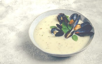 Chowder cream soup with mussels, American cuisine, homemade, no people