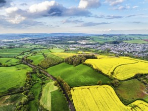 Rapeseed fields and farms from a drone, Torquay, Devon, England, United Kingdom, Europe