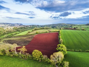 Fields and Farms over Torquay from a drone, Devon, England, United Kingdom, Europe