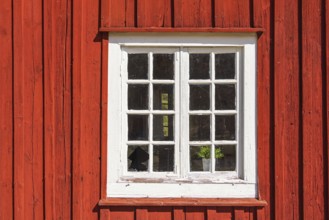 Window of an old red wooden cottage with a broken window and potted plants, Sweden, Europe