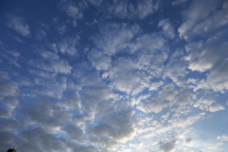 Large fleecy clouds (Altocumulus), Bavaria, Germany, Europe