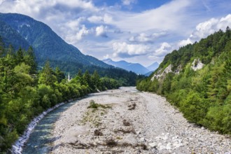 River Fella near Lussnitz, Kanaltal, Friuli-Venezia Giulia, Italy, Europe