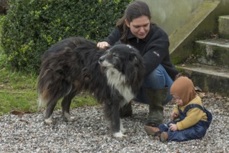 Mother and son 8 months with a Border Collie, Mecklenburg-Vorpommern, Germany, Europe