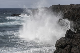 Surf, Los Hervideros, Lanzarote, Canary Islands, Spain, Europe