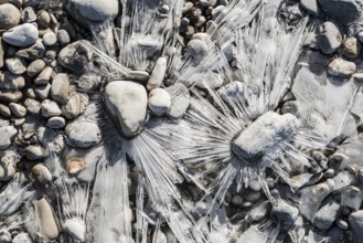 Frozen ground, ice crystals, ice flower, Lake Starnberg, Fünfseenland, Pfaffenwinkel, Upper