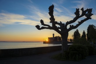 Montfort Castle, sunset, Langenargen, Upper Swabia, Lake Constance, Baden-Württemberg, Germany,