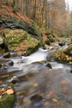 Stream with running water flowing through a rocky autumn landscape, covered with colourful leaves,