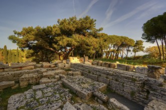 HDR Photo, Remains of Athena Polias Temple, Ancient stone ruins surrounded by trees and sunny sky,