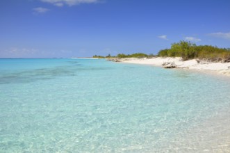 Sandy beach beach, Cuba, Caribbean, Central America