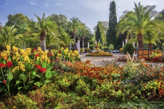 Palm garden in the historic spa gardens, the largest outdoor palm garden north of the Alps, Bad