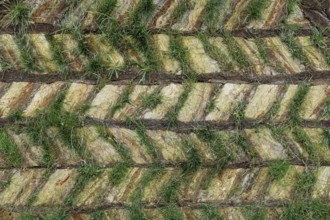 Wall of a turf house, Lýtingsstaðir or Lytingsstadir, Iceland, Europe