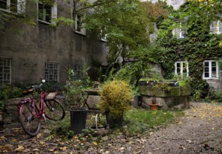 Courtyard, bicycle, ivy, romantic, old town, Fürth, Franconia, Bavaria, Germany, Europe