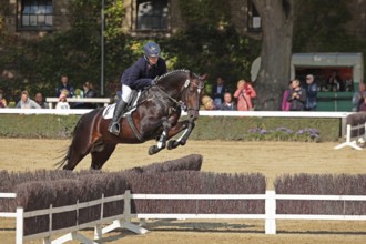 Warendorf State Stud, stallion parade, jumping quadrille