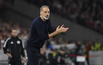 Coach Pellegrino Matarazzo TSG 1899 Hoffenheim on the sidelines Gesture Gesture Clapping