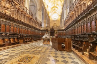 Magnificent Gothic church with richly decorated wood carvings and numerous seats, Seville