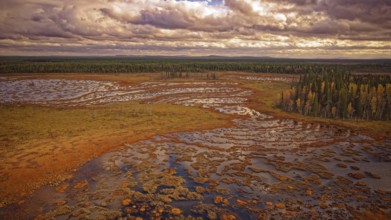 Moor, autumn, intense colouring, impressive cloud formation, drone shot, with horizon, Lapland,