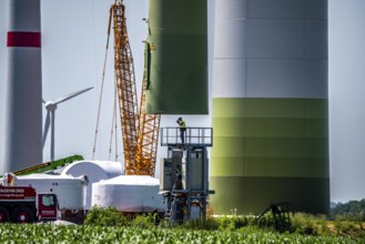 Repowering of a wind farm near Issum, here the dismantling of the tower, 9 older wind turbines from