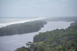 View of the river and rainforest from Cerro Tortuguero, Tortuguero National Park, Costa Rica,