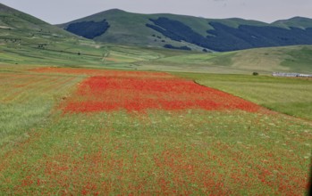 Mountain landscape on the edge of the Pian Grande di Castelluccio di Norcia plateau in the Monti