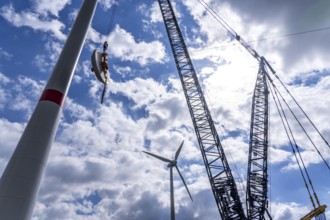 Erection of a wind turbine, wind energy plant, assembly of the ring generator, with a crawler